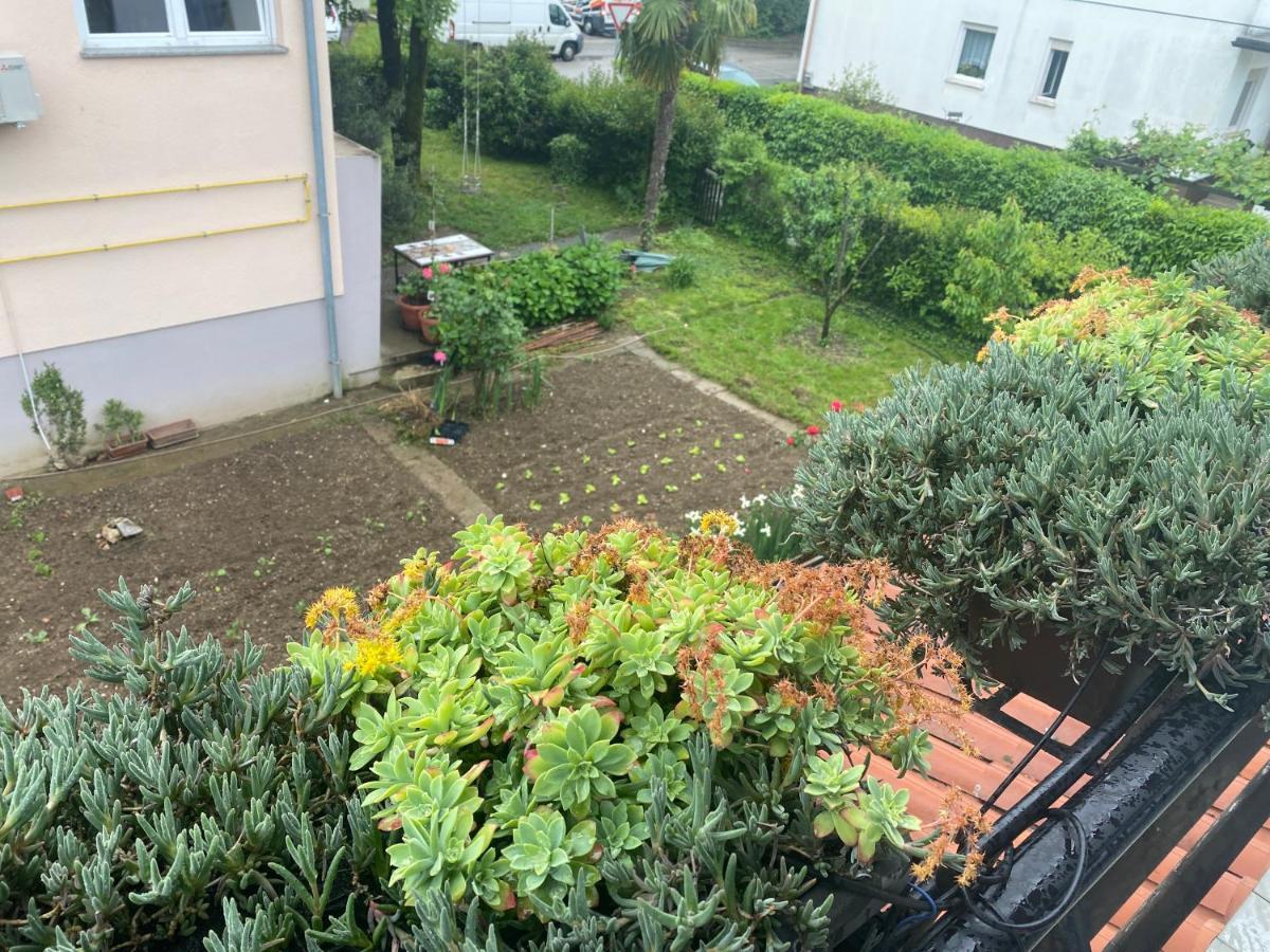 Apartma Magnolija Nova Gorica Exterior foto
